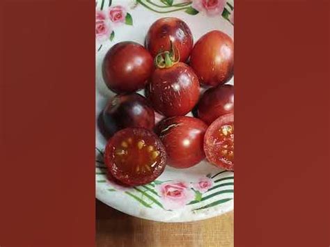 Томат Черная клубника - YouTube