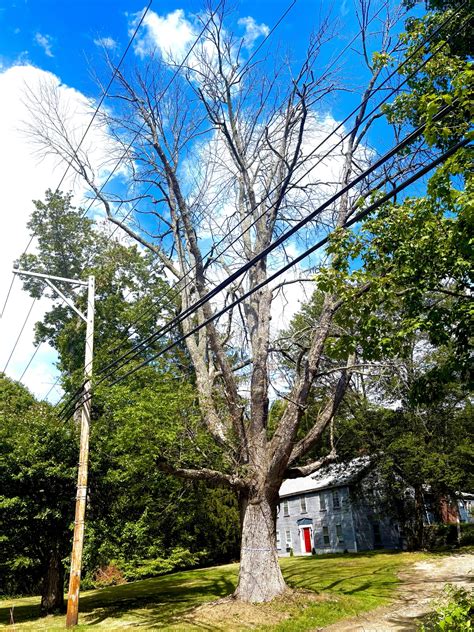 eversource electric login 9