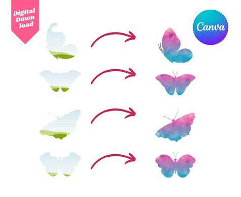 Butterfly Canva Frames Template Canva Butterfly Frames Drag And Drop