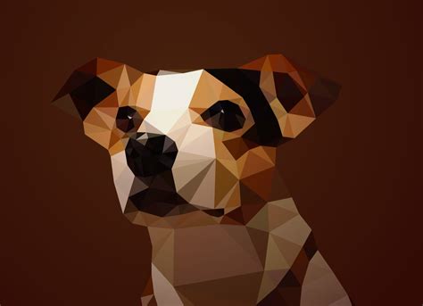 Canis lupus familiaris | Trianimalia