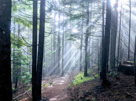 Rattlesnake mountain trail near Seattle yesterday. : r/trailrunning