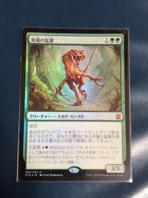死霧の猛禽deathmist Raptor Sato Museum Muuseo 389036