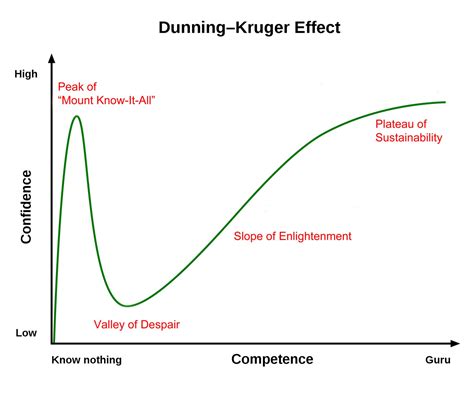 Beekeepers And The Dunning Kruger Effect Unskilled And Unaware Honey