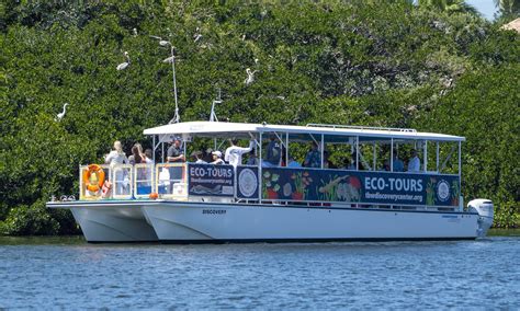 A Deep Dive Into Eco Tours! — Tampa Bay Watch Discovery Center
