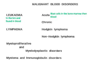 Haematological Malignancies Flashcards Quizlet