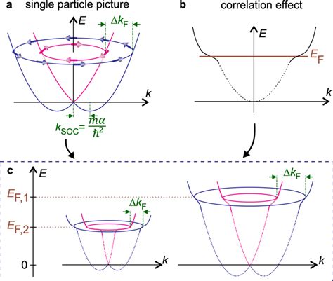 Evolution Of Spin Orbit Split Band Structure Due To Coulomb Download Scientific Diagram