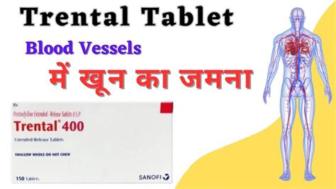 खन क जम जन trental 400 mg tablet pentoxifylline 400 mg YouTube