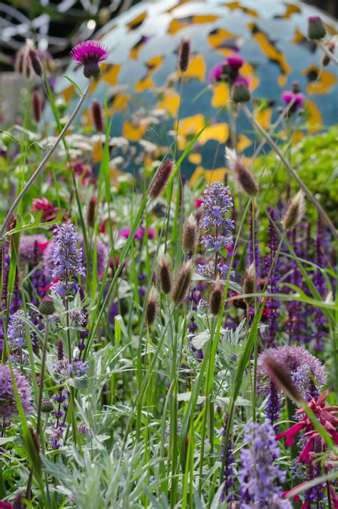 Annual vs. Perennial plants: what's the difference? - Growing Family