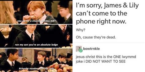 Harry Potter Memes Harry Potter Reactions