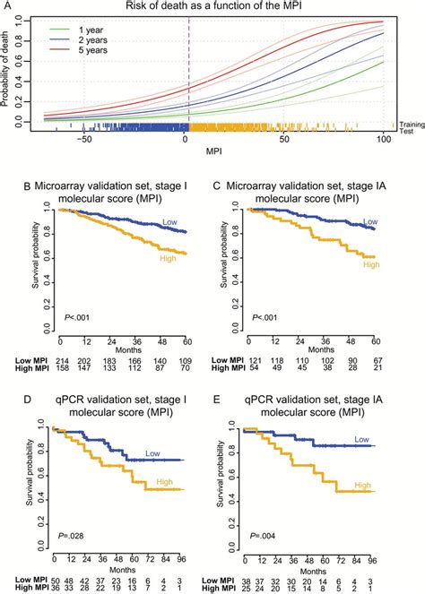 A Nine Gene Expression Based Molecular Prognostic Index Mpi Predicts