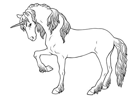 Malvorlage Einhorn Schwer