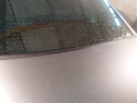 Жабо заднего стекла — LADA Vesta, 1,6 л., 2019 года | аксессуары | DRIVE2