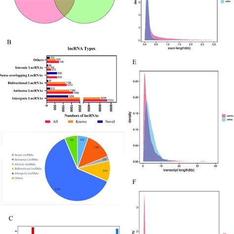 Identification And Expression Profile Analysis Of Lncrnas Obtained From Download Scientific