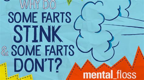 Why Do Some Farts Stink and Some Farts Don't? | Mental Floss