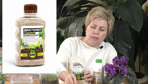 Избавляемся от плесени на рассаде! профилактика и лечение! - Смотреть ...