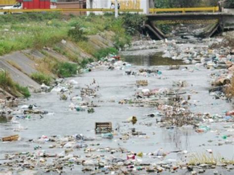 Condenaron a prisión a empresarios azucareros por la contaminación del