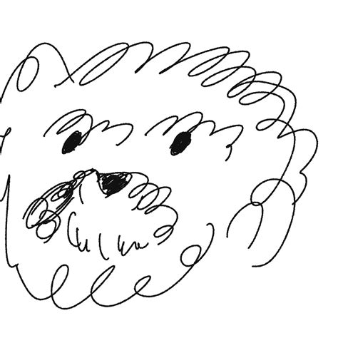 Black and White Cat Face Drawing