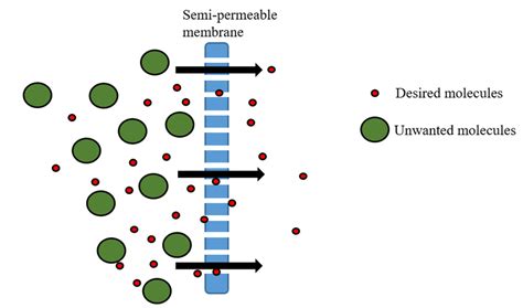 Illustration Of Membrane Filtration Download Scientific Diagram