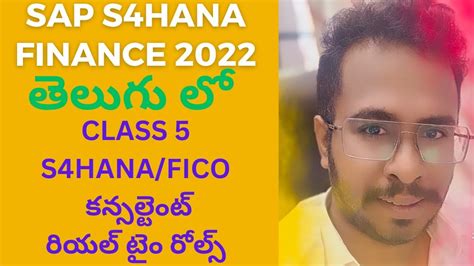 తలగ ల SAP S4HANA in Telugu Class 5 S4HANA Finance In Telugu SAP