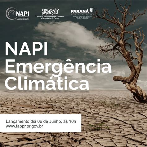 Unioeste participa do lançamento do NAPI Emergência Climática Unioeste