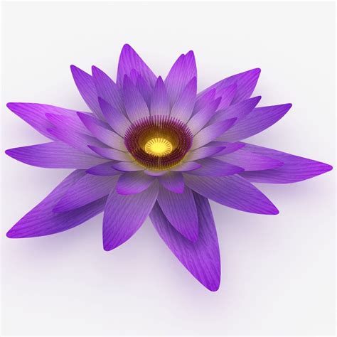 Lotus Flower 3d Model 19 Fbx Obj 3ds Max Free3d