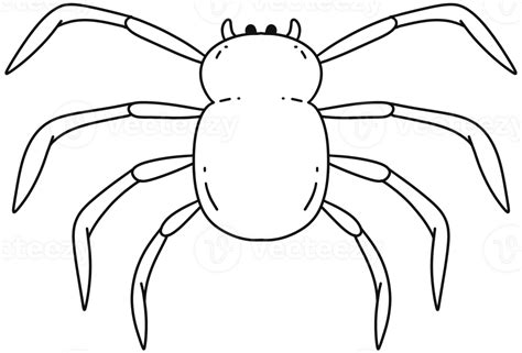 Halloween Spider Doodle Hand Drawn 50511471 Png