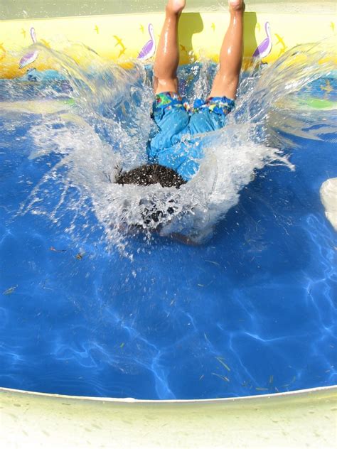 swim time  photo  freeimages