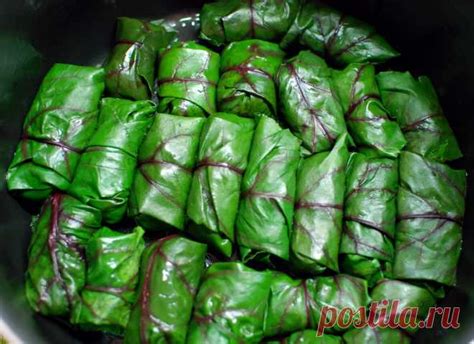 Полезные вкусняшки, которые можно приготовить из свекольной ботвы | Fer ...