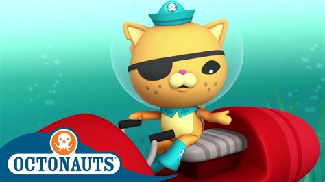 上 octonauts gup g cartoon 295612 - irasutobloglimo