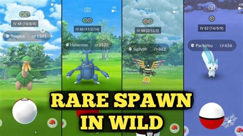 How to Catch Rare pokemon in Pokemon Go | Rare spawn locations pokemon go 2020 – Pokemon Go