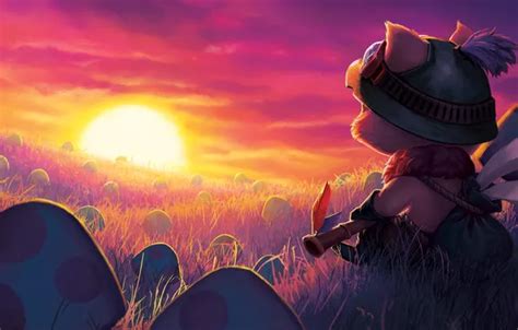 Wallpaper The Sun Sunset Mood Mushrooms League Of Legends Teemo