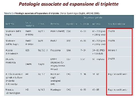 Patologie Associate Ad Espansione Di Triplette Dna Ripetitivo