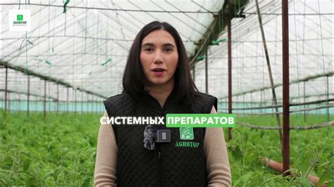 Сильвет Голд обеспечивает проникновение препаратов в труднодоступные ...