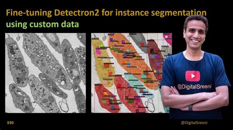 Fine Tuning Detectron For Instance Segmentation Using Custom