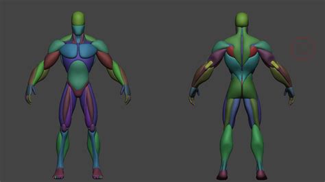 Artstation Stylized Anatomy Basemesh Resources