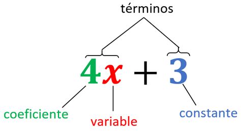 Expresiones Algebraicas Y Ejemplos Neurochispas