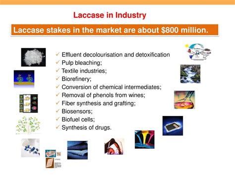 IL FUTURO DELLA CHIMICA E’ VERDE - ppt download