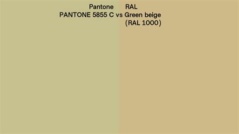 Pantone C Vs Ral Green Beige Ral Side By Side Comparison