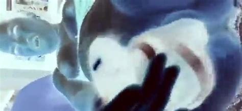 La Mamma Troia Creampie Creampie Porn XHamster