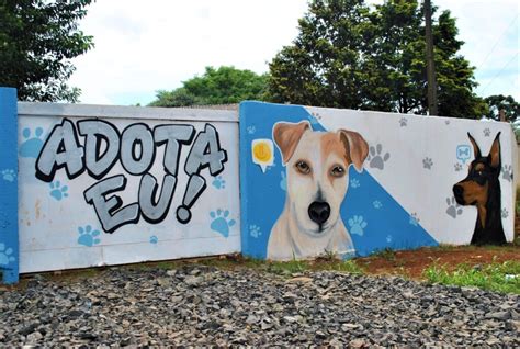 Artista De Guarapuava Realiza Grafite No Canil Municipal Correio Do