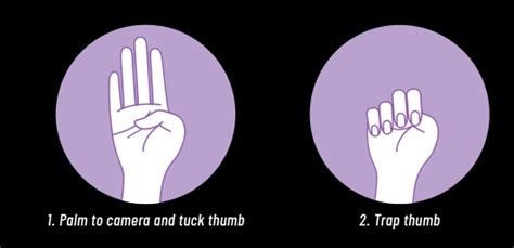 Court Technology Bulletin: A Domestic Violence Hand Signal for Video Calls