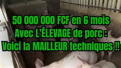 Porciculture Comment Cr Er Et Bien G R Une Ferme Porcine