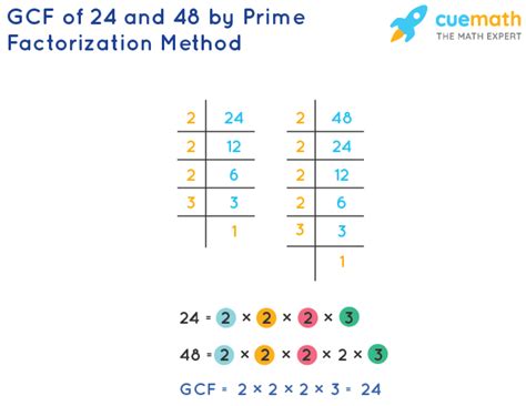 Gcf Of 24 And 48 How To Find Gcf Of 24 48