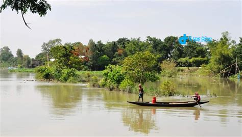 নদীমাতৃক বাংলাদেশের একটি প্রাকৃতিক দৃশ্য - The Dhaka Times