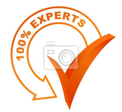 100 pour 100 experts sur symbole validé orange wall stickers valid