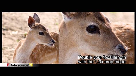 Nikon D7200 Youtube