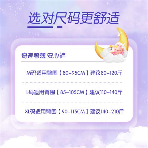 Embroidered Women S Panties The Ultimate Sexy Leopard Print Lingerie