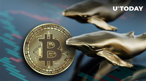 Bitcoin Btc Whales Just Drove 240 Million Away From Exchanges