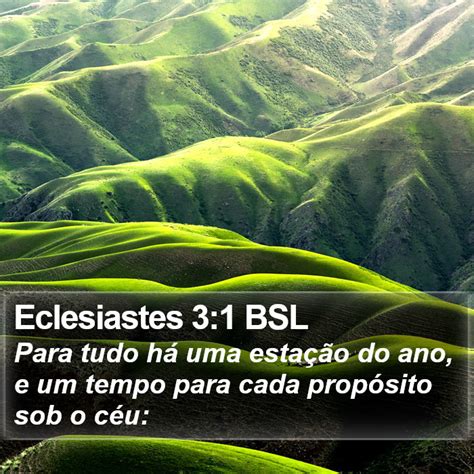 Eclesiastes 3 1 BSL Para tudo há uma estação do ano e um tempo