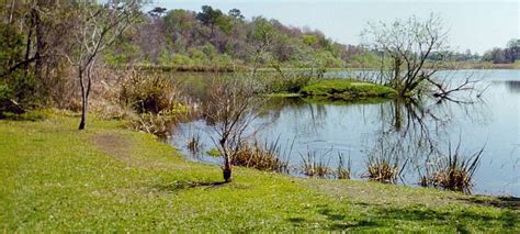 Lake Alice - Architecture of the University of Florida (Gainesville ...